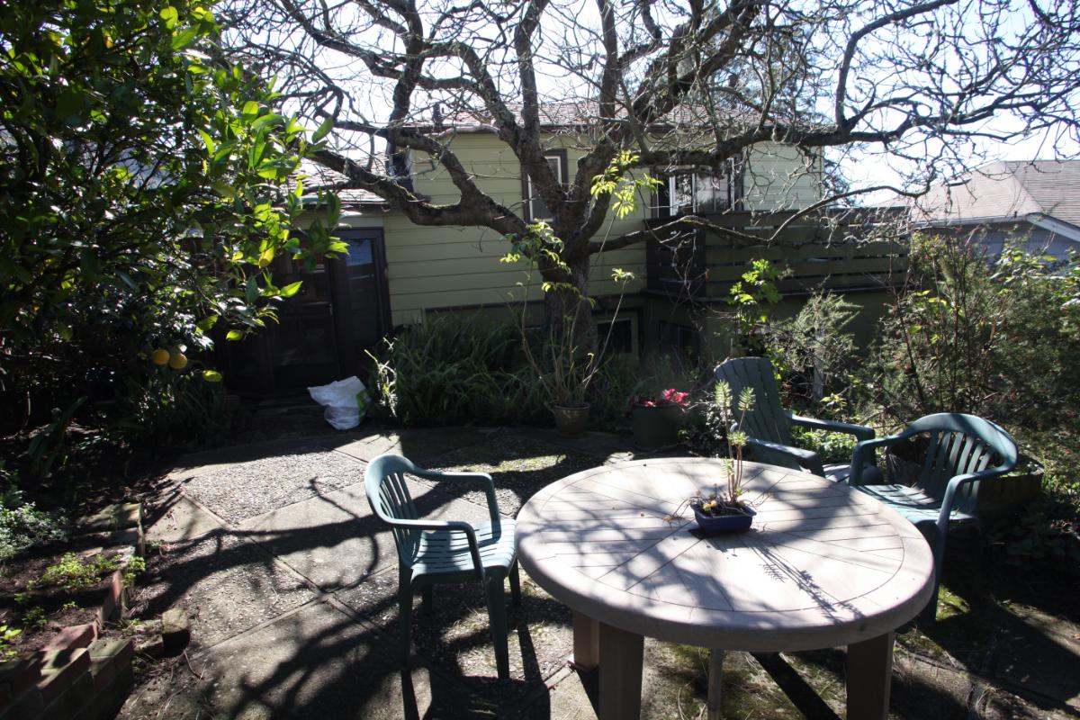 255 Kenyon Avenue, Kensington Back Yard Before